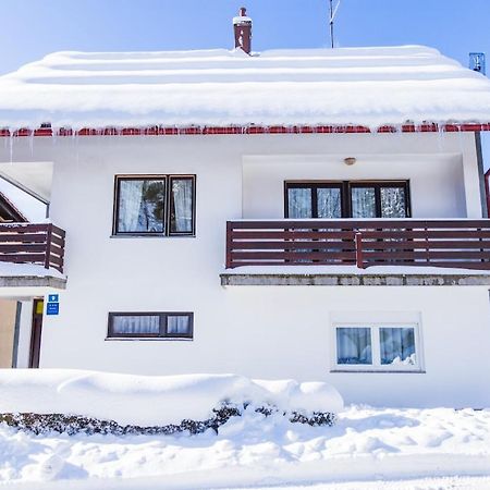 Apartman Japlenski Delnice Eksteriør billede